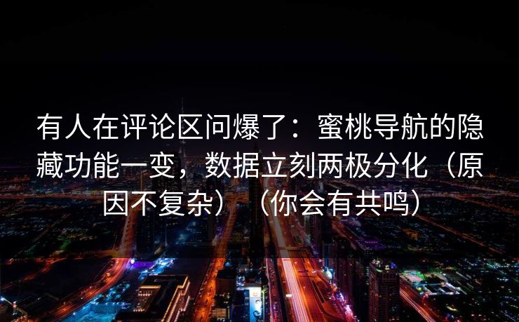 有人在评论区问爆了：蜜桃导航的隐藏功能一变，数据立刻两极分化（原因不复杂）（你会有共鸣）