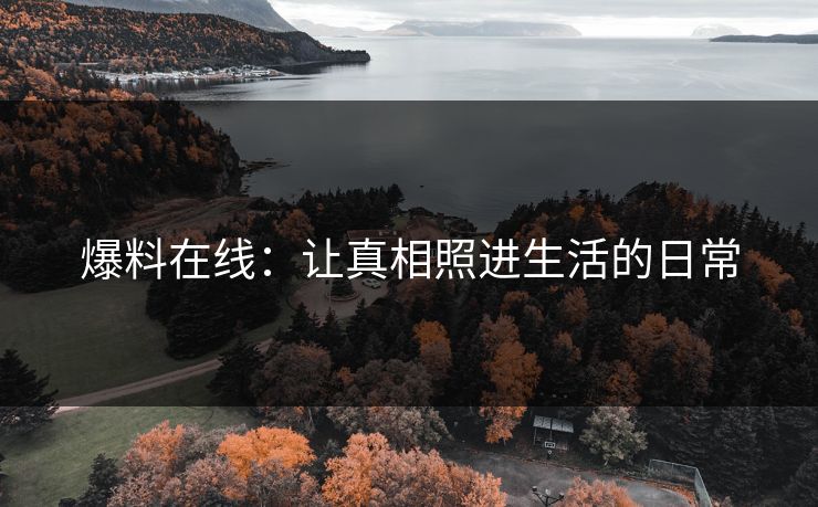 爆料在线：让真相照进生活的日常