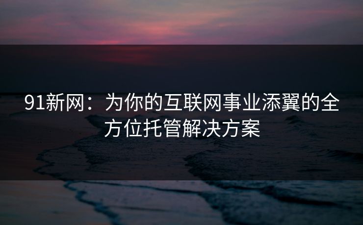 91新网：为你的互联网事业添翼的全方位托管解决方案
