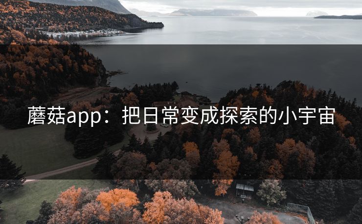 蘑菇app：把日常变成探索的小宇宙